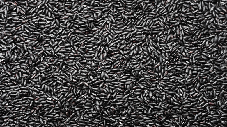 close-up shot of brown rice