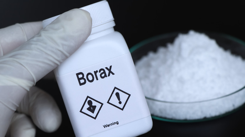 Person wearing white gloves holding container of borax toward the camera