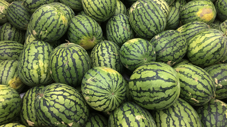 a large pile of watermelon