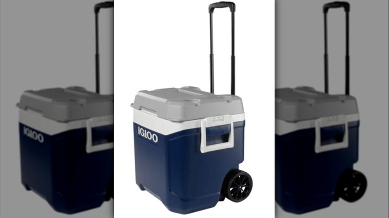 a rolling Igloo cooler