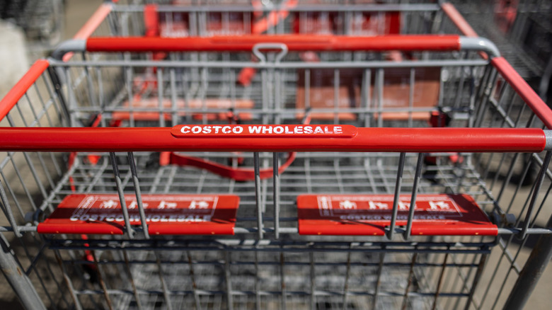 a close-up of a Costco shopping cart