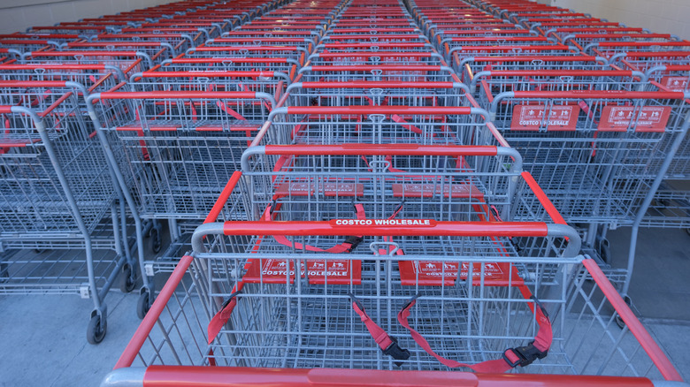 rows of Costco shopping carts
