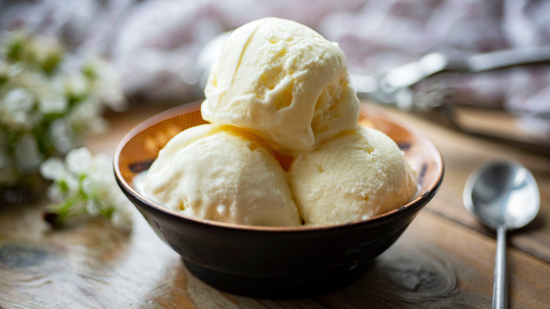A bowl of homemade vanilla ice cream
