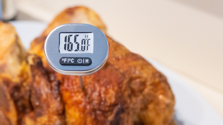 Checking the temperature of chicken with a meat thermometer