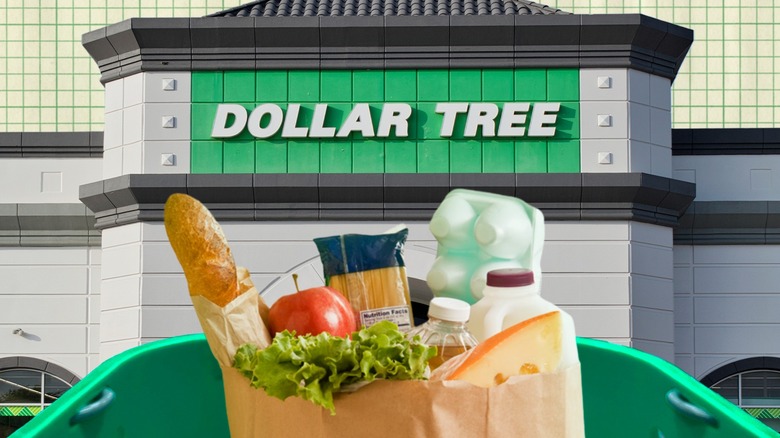 Brown paper bag full of groceries in front of Dollar Tree store