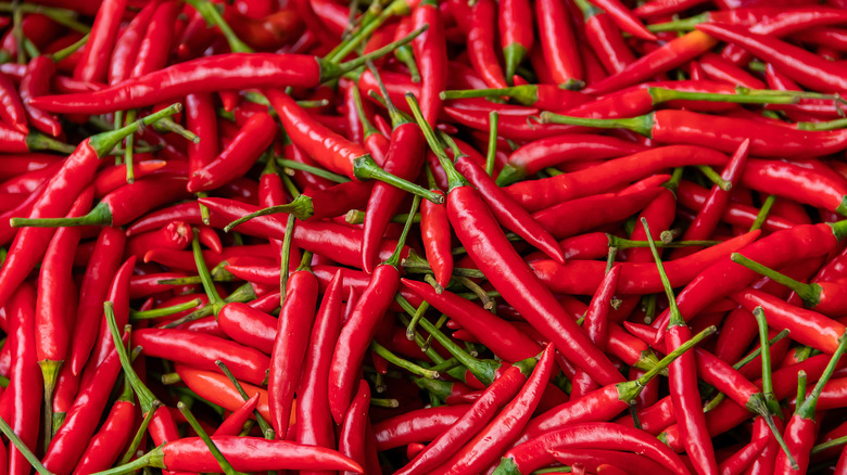 A pile of red chili peppers