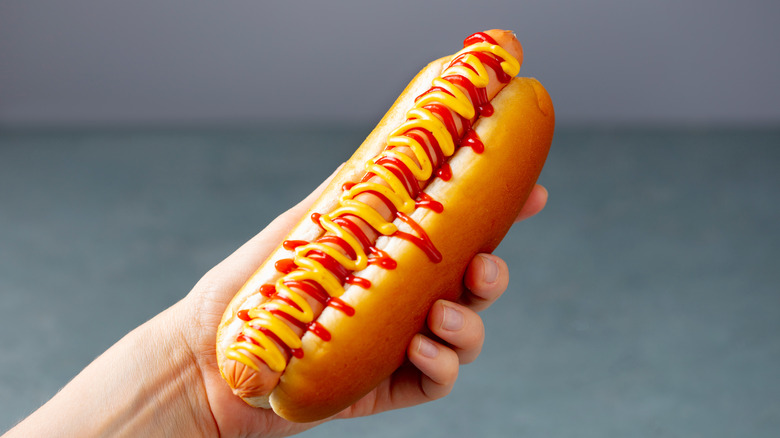 hand holding a hot dog with condiments