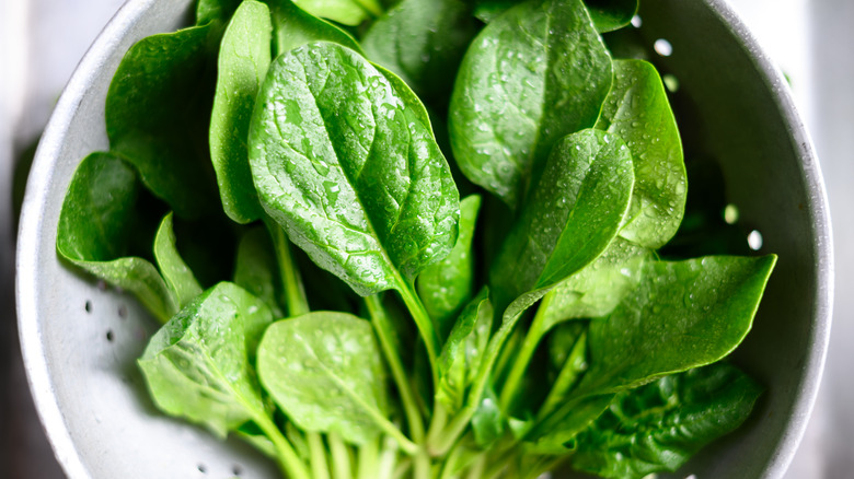 spinach leaves in a colander