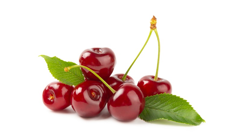 A pile of cherries is pictured with greenery