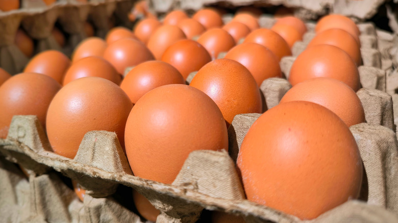 Brown eggs sitting in a cardboard tray
