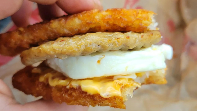 Person holding a Tim's sandwich