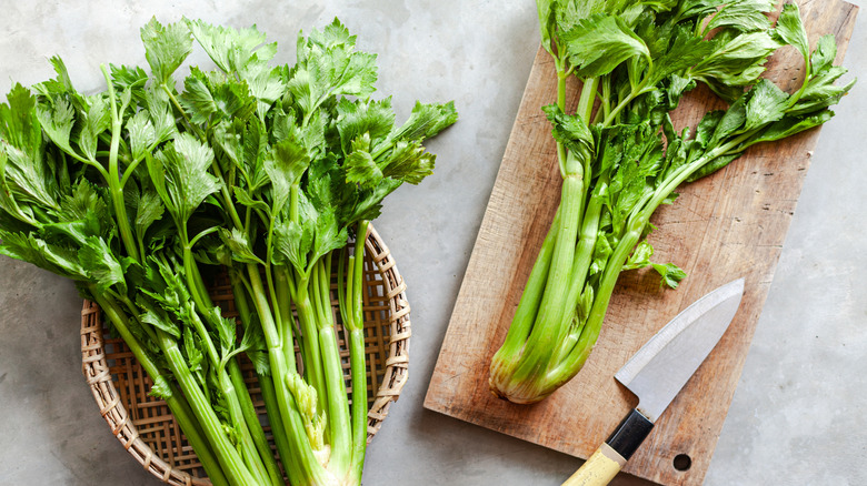 Fresh celery on a wooden cutting board with a sharp knife and a basket of celery to one side