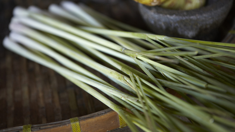 Stalks of lemongrass on a wooden dish