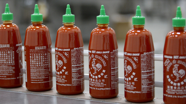 A row of sriracha chili sauce bottles on a metal table