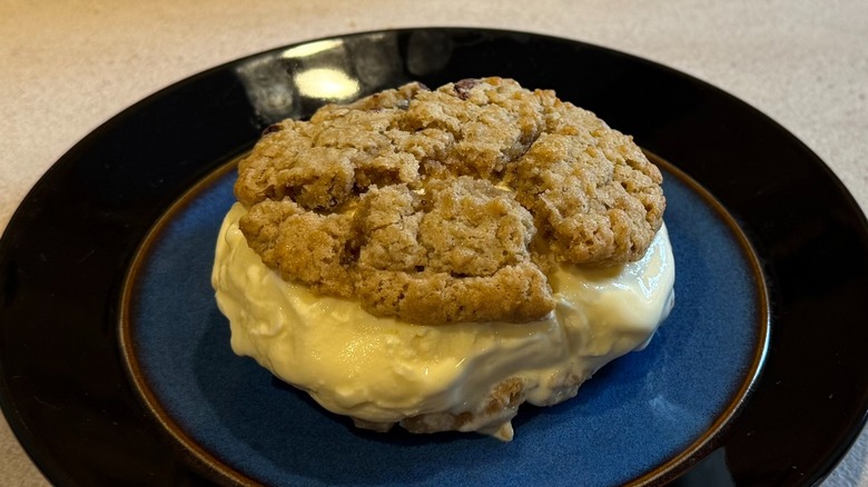 A cookie ice cream sandwich on a black and blue plate