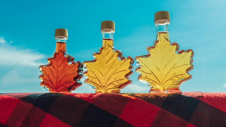 Three bottles of Grade A maple syrup on a red flannel tablecloth