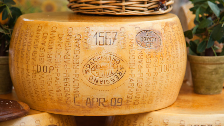 A wheel of Parmigiano-Reggiano cheese