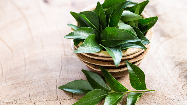 Fresh curry leaves in small wood bowl with an intact curry stem with multiple leaves on surface beside bowl