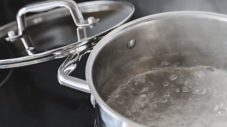 A stainless steel pot boiling on a stovetop