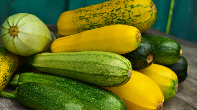 Bounty of summer squash and zucchini vegetables