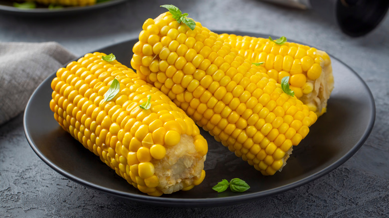 Boiled corn cobs on a plate