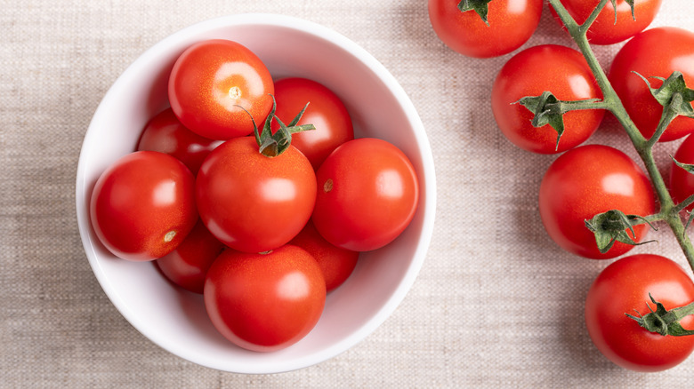 Bright red juicy tomatoes in white bowl and vine