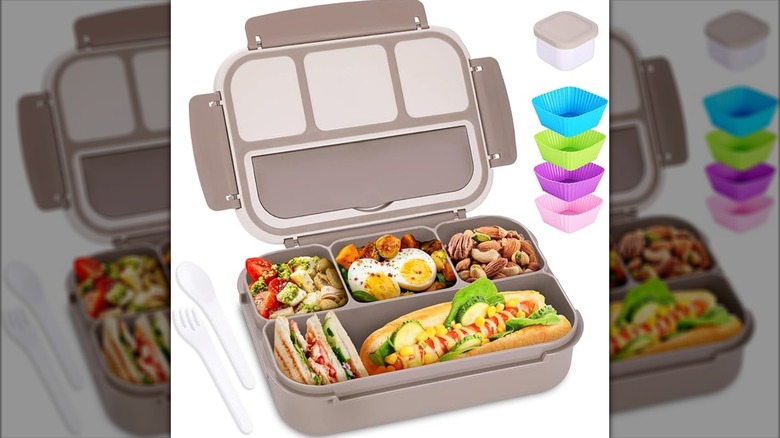 shell and turtle bento box