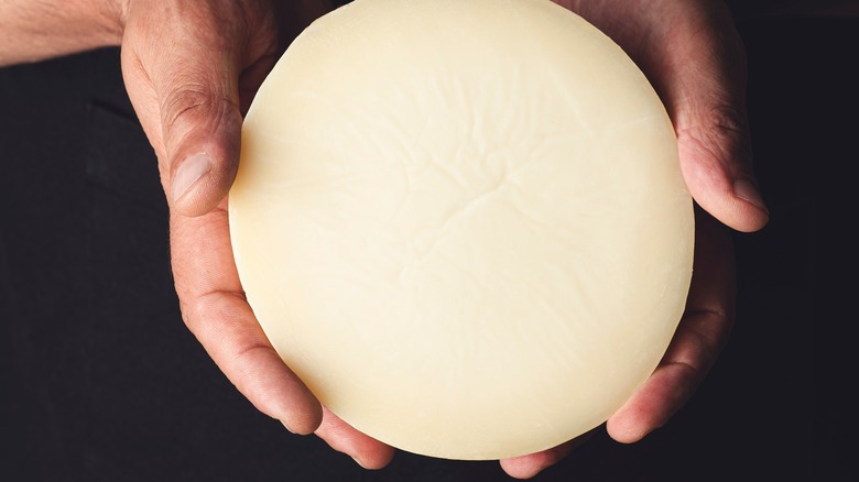 a person holding up provolone cheese