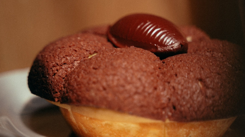 Close up on a concha de chocolate from Panaderia Gala.