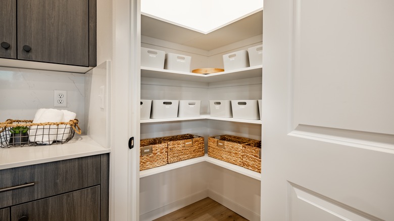 door open to a pantry organized a variety of baskets and bins