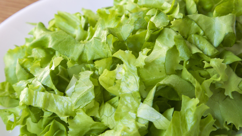 Lettuce shreds on a plate