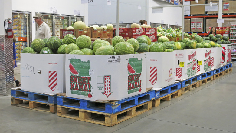 Multiple large cardboard bins of watermelons at Costco