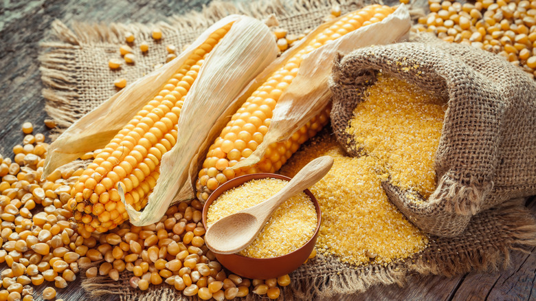 Variety of dried corn products on wooden table