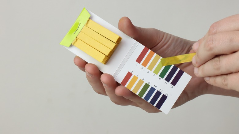 Woman with pH measuring tool