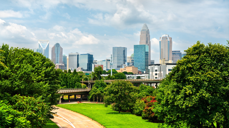 A view of Charlotte's skyline between green trees