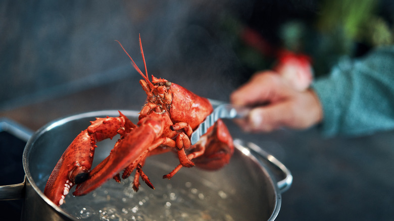 Person taking lobsters out of pot