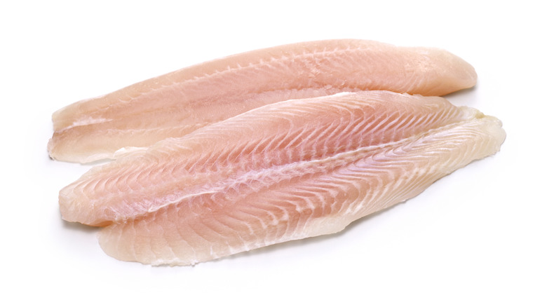two white fish fillets on a white isolated background