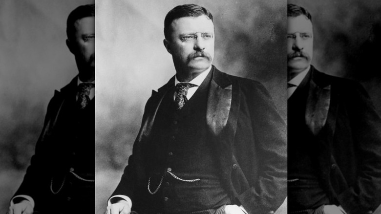 Theodore Roosevelt