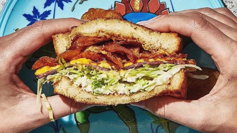 Person holding half of bologna sandwich fun plate
