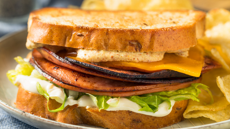 Delicious bologna sandwich with chips