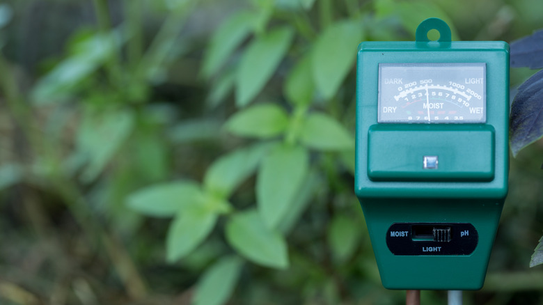 A soil moisture monitor