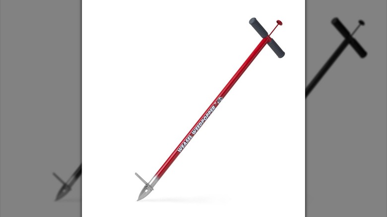 A Weasel Weedpopper with a mirrored border