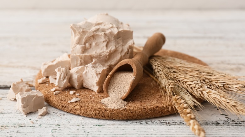 Yeast with flour and wheat on brown board