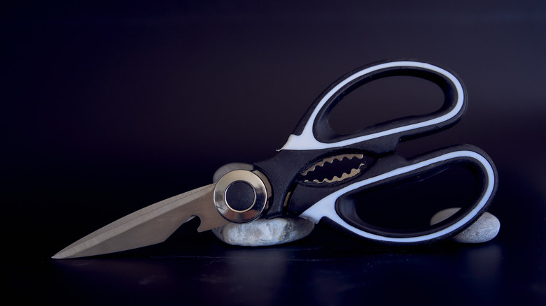 sharp kitchen shears on black background