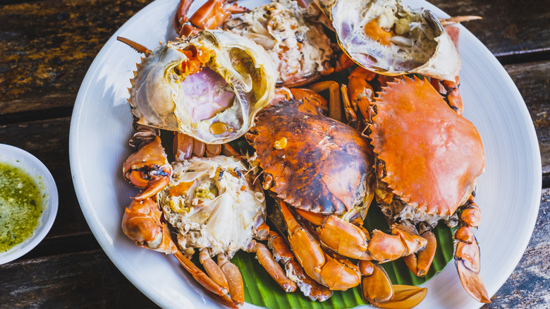 cooked crabs on a plate