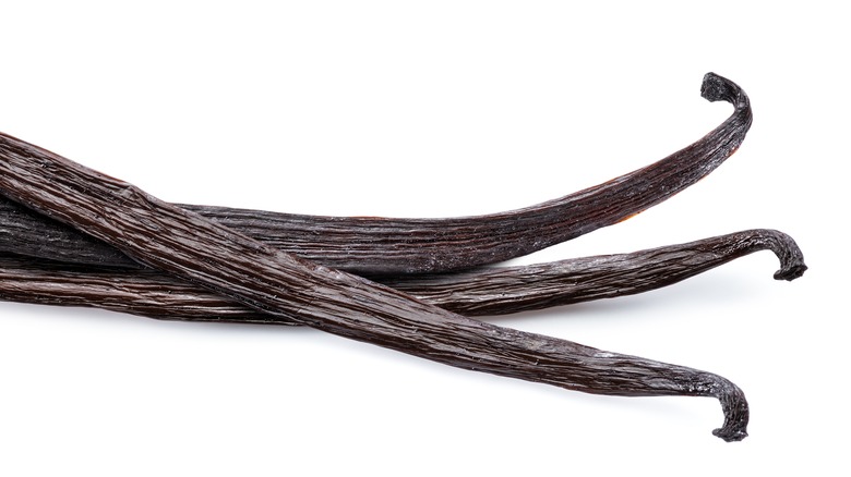 vanilla beans on white background