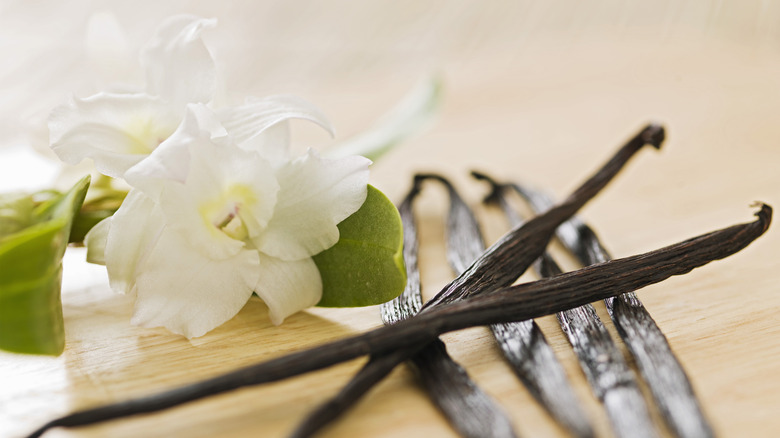 vanilla bean pods and flowers