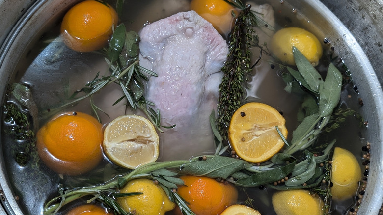 Raw turkey in brine with lemons, oranges, and herbs