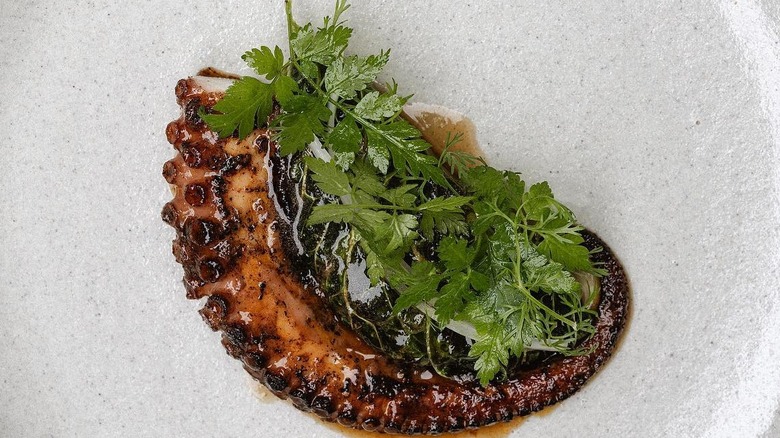 An octopus dish at Pujol in Mexico City