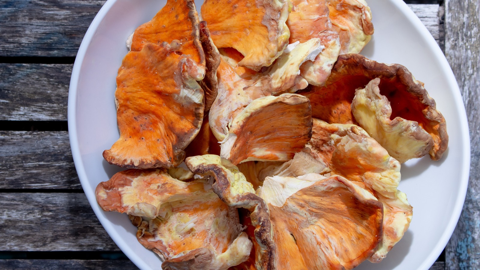 A Guide To Mushrooms That Taste Like Chicken